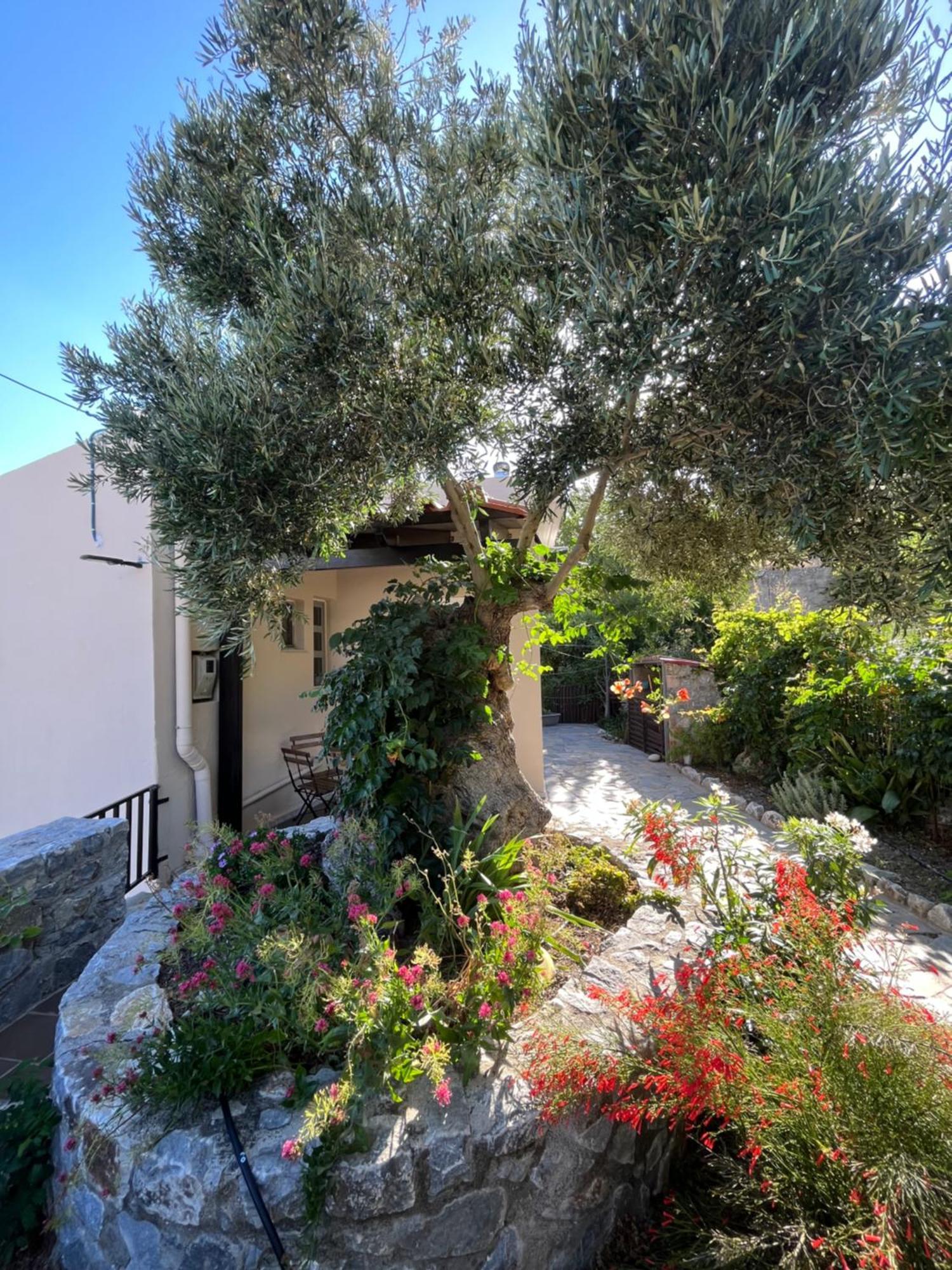 Petasos House - Garden - Sea View Villa Sellía Eksteriør billede